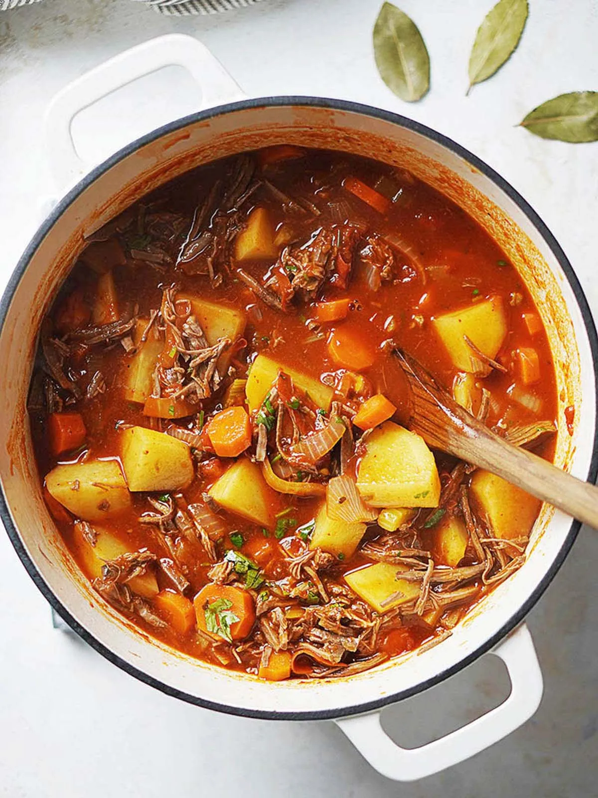Carne Deshebrada for tacos, enchiladas + a Mexican stew
