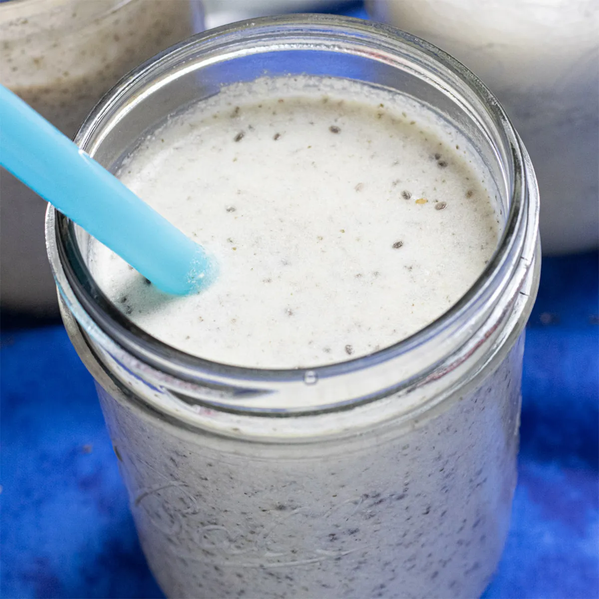 Chia Seed Protein Shake