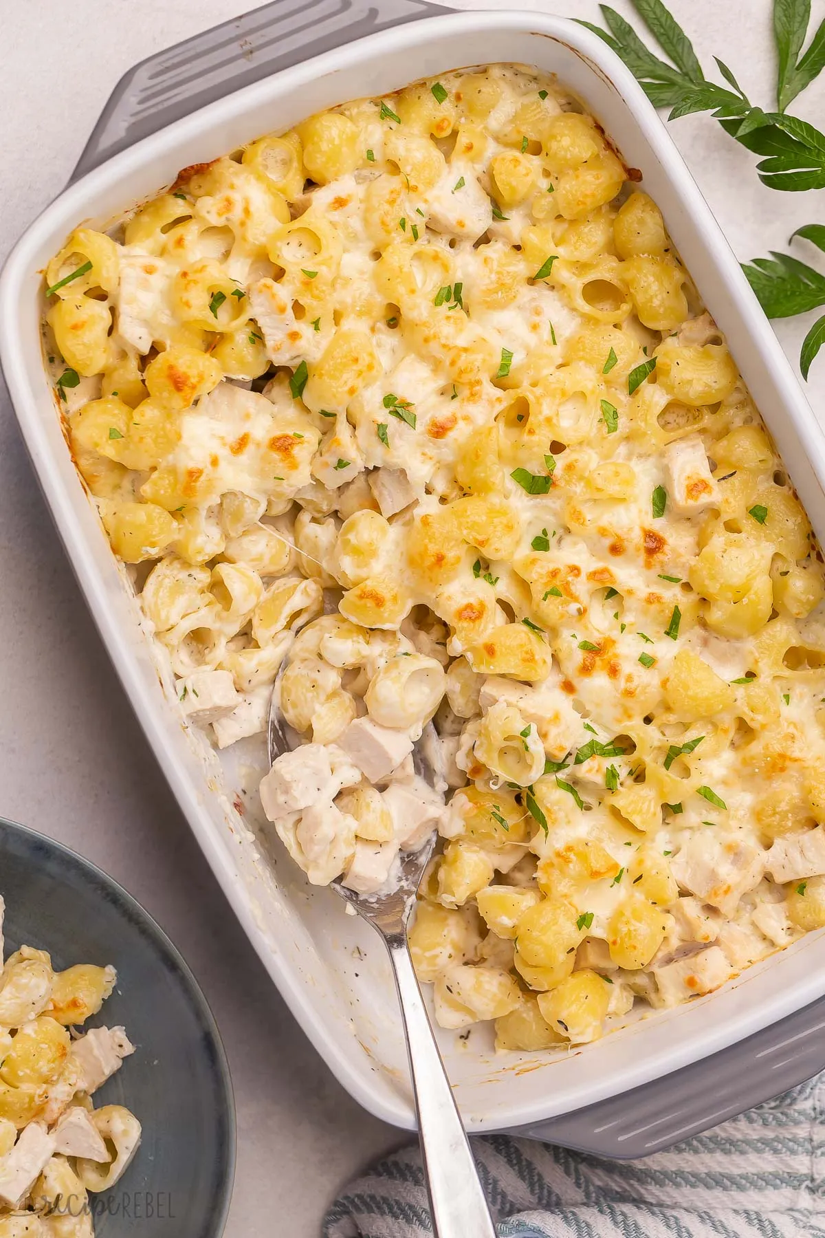 Chicken Alfredo Bake