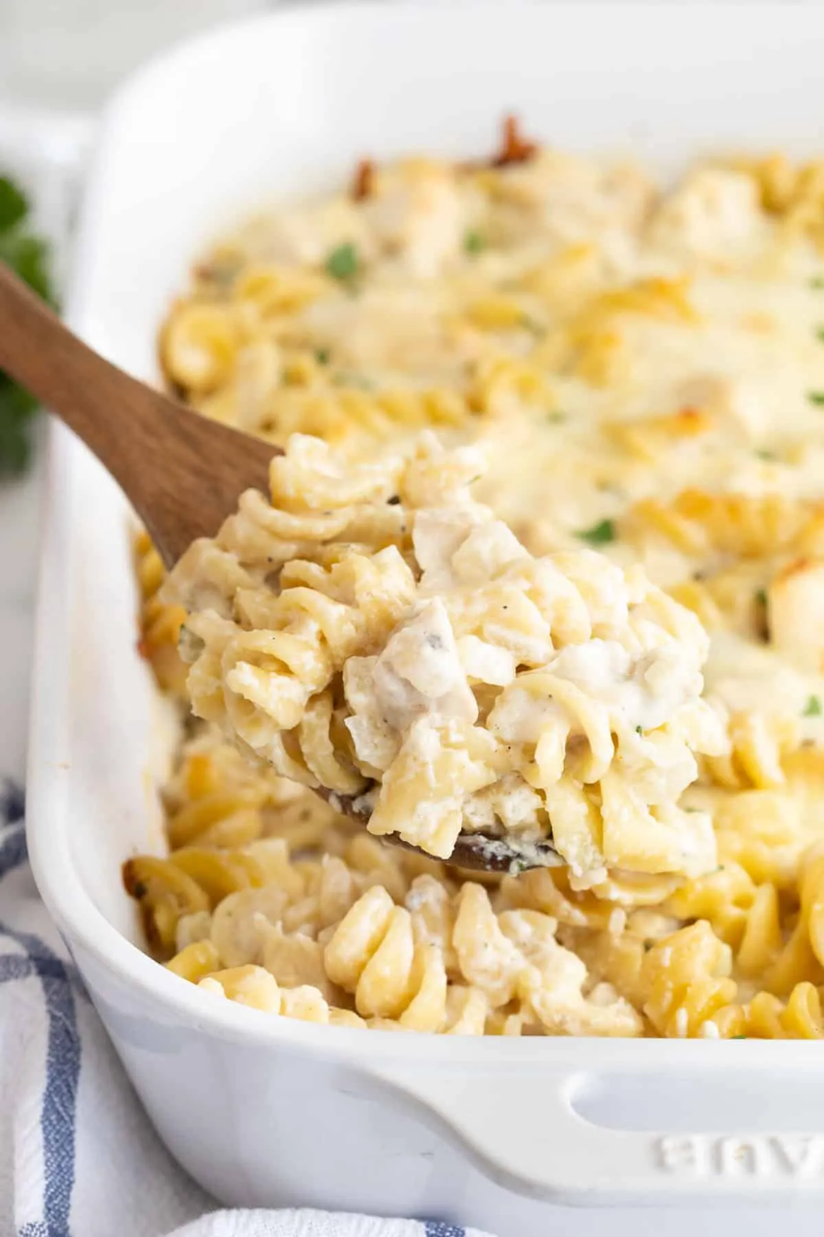 Chicken Alfredo Casserole Recipe