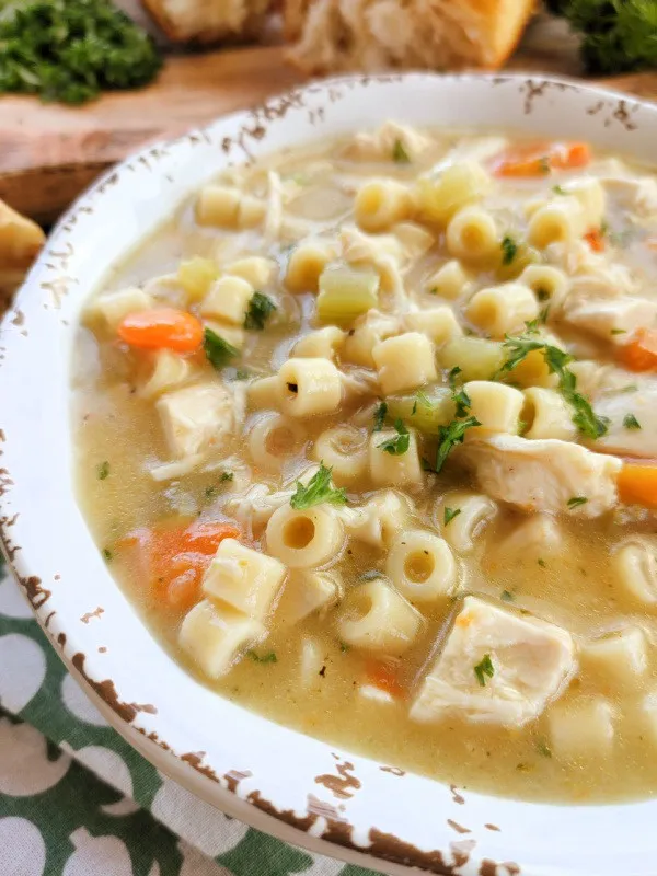 Chicken Noodle Stew