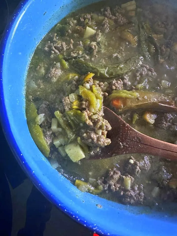 Chile Verde Beef Picadillo 2