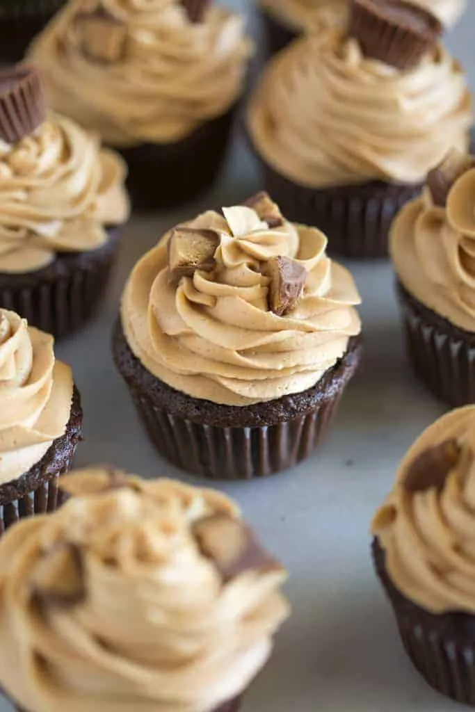 Chocolate Peanut Butter Cupcakes