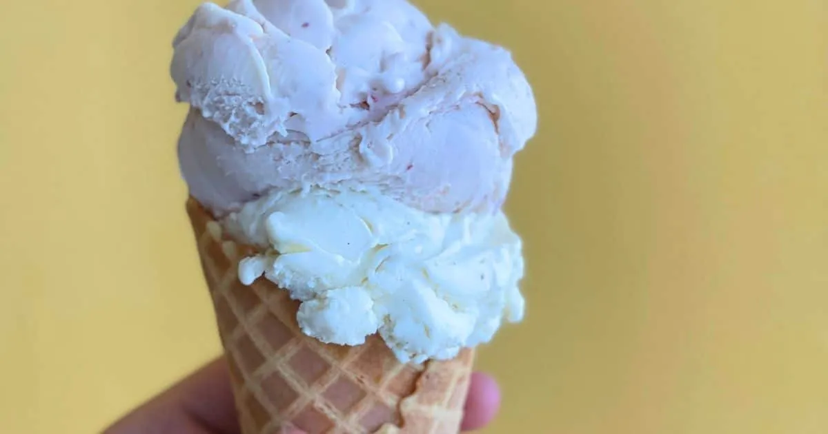 Condensed Milk Ice Cream