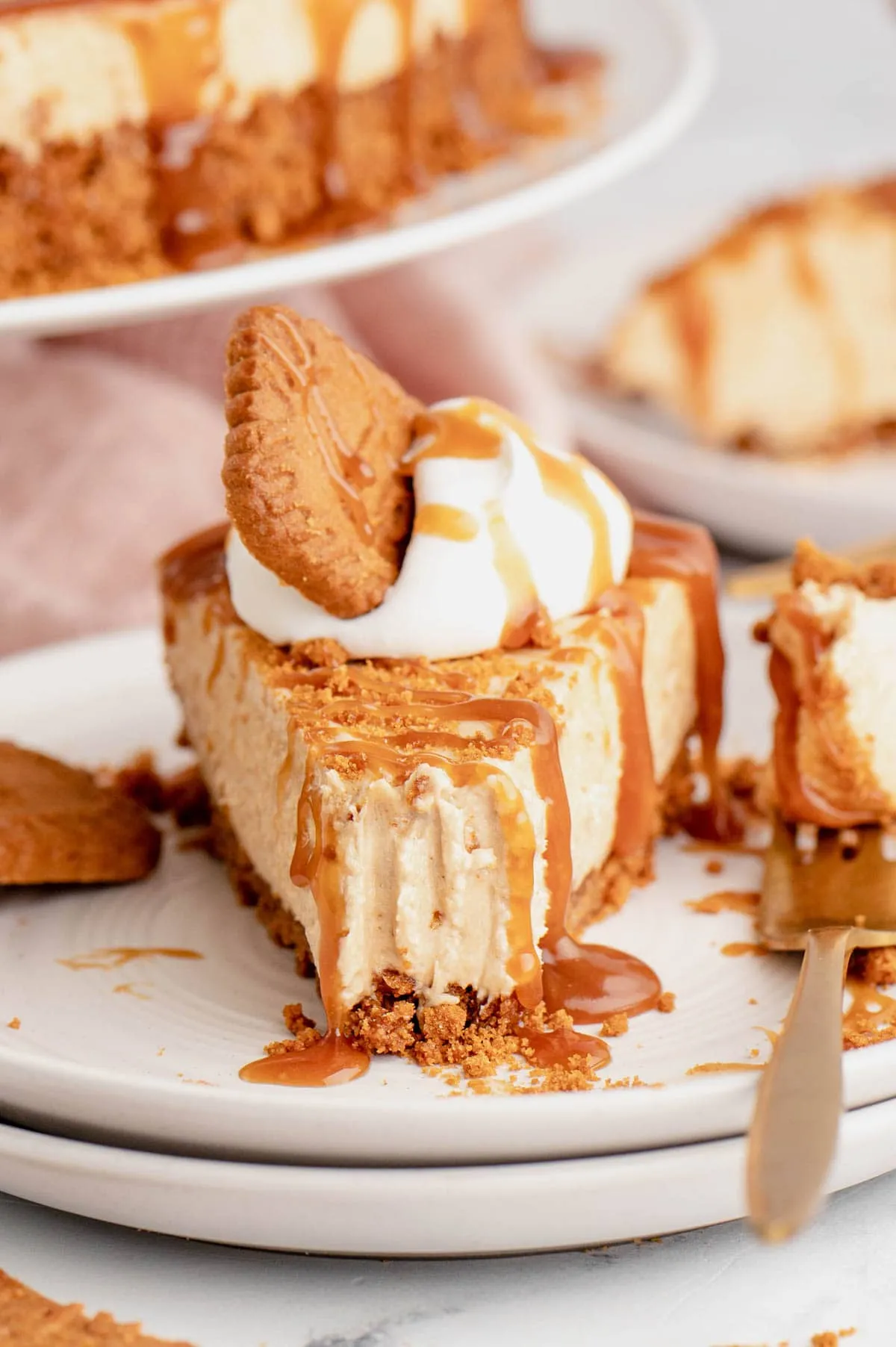 Cookie Butter No-Bake Cheesecake