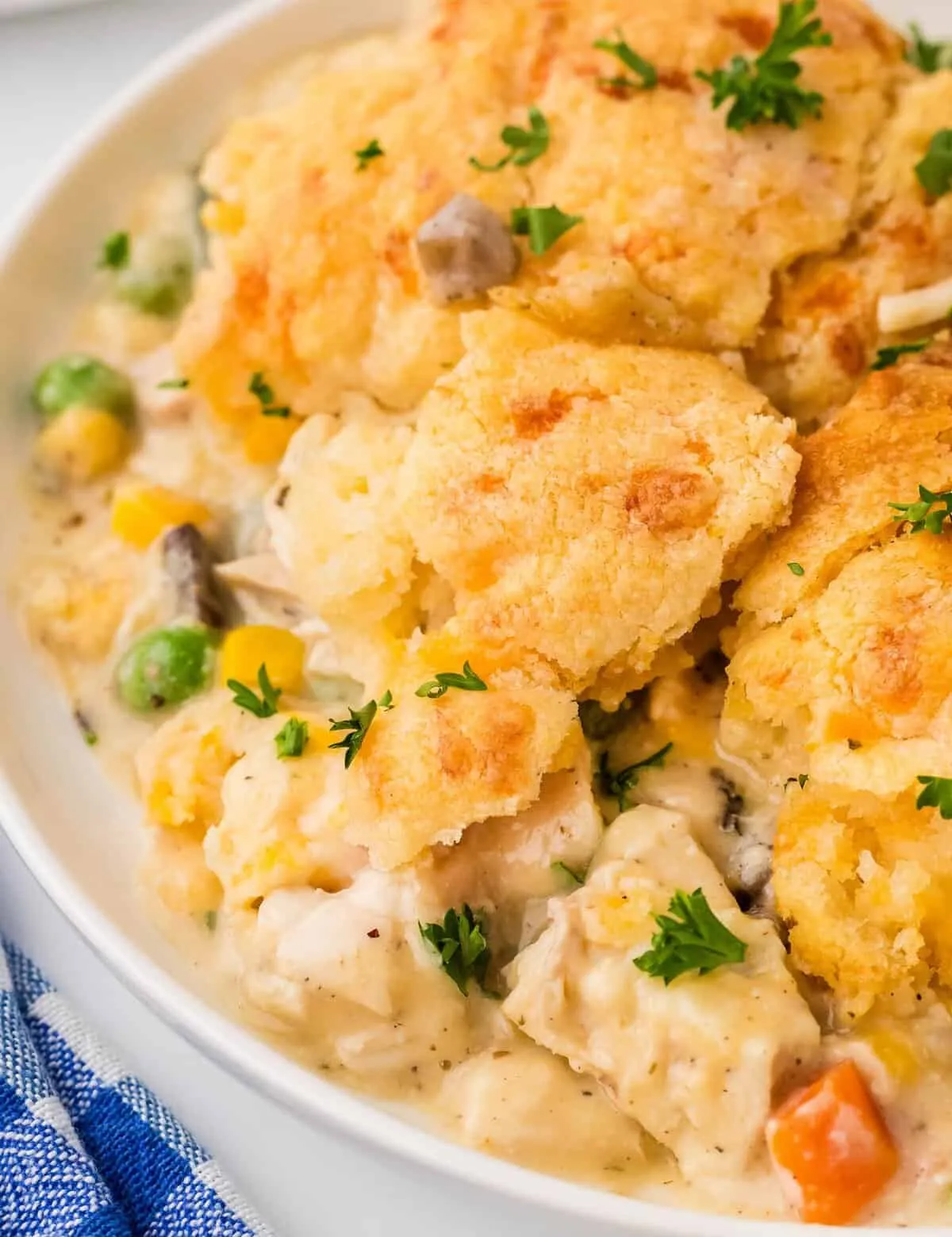 Creamy Chicken Cobbler