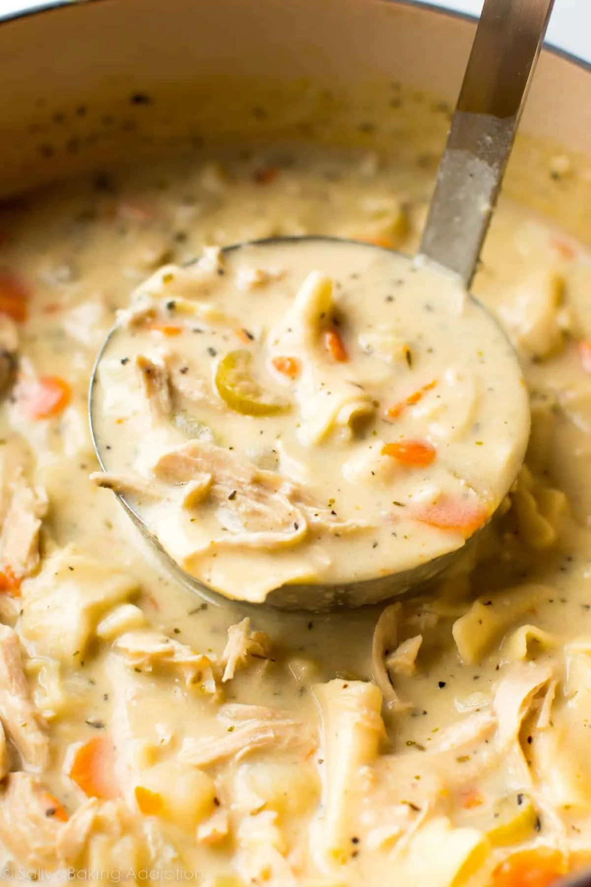 Creamy Chicken Noodle Soup