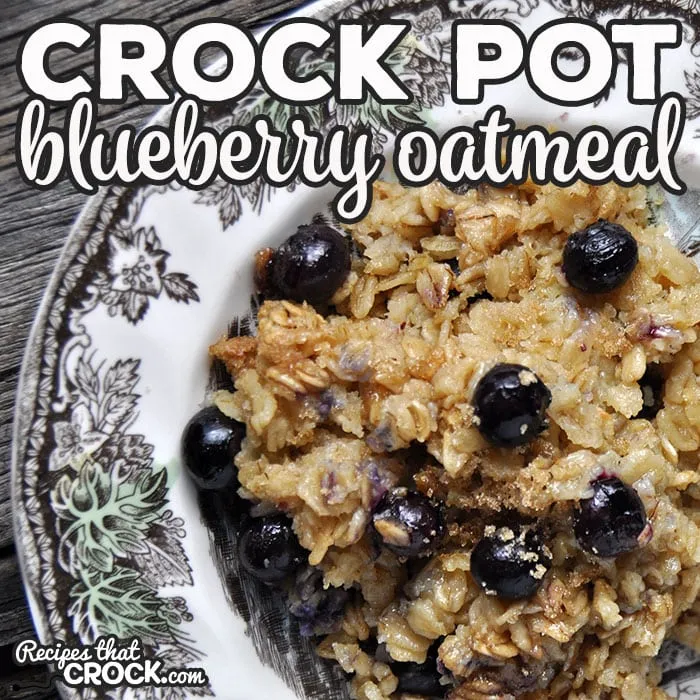 Crock Pot Blueberry Oatmeal