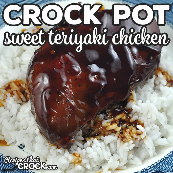 Crock Pot Sweet Teriyaki Chicken
