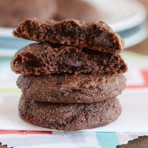 Double Chocolate Greek Yogurt Cookies