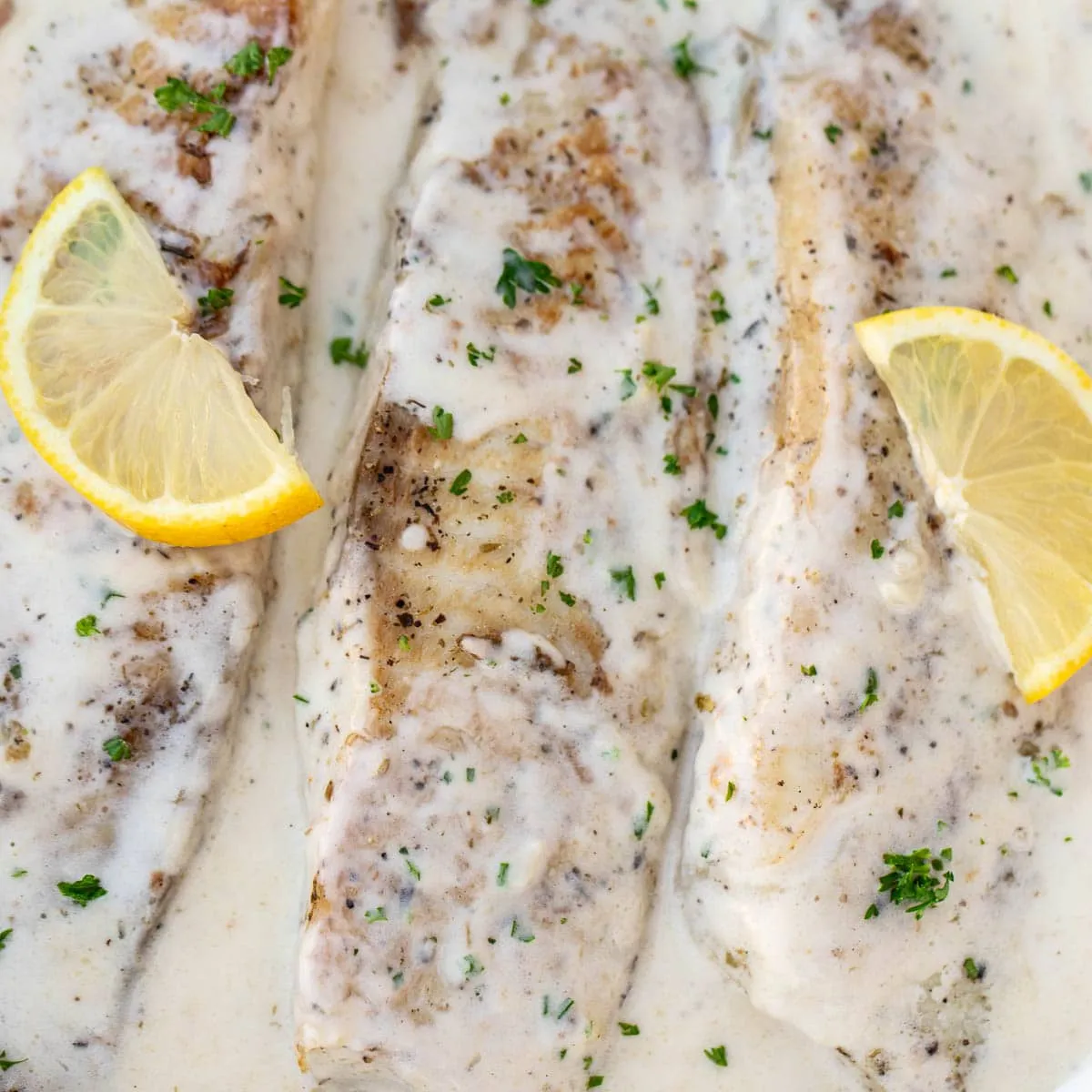 Fish In White Sauce
