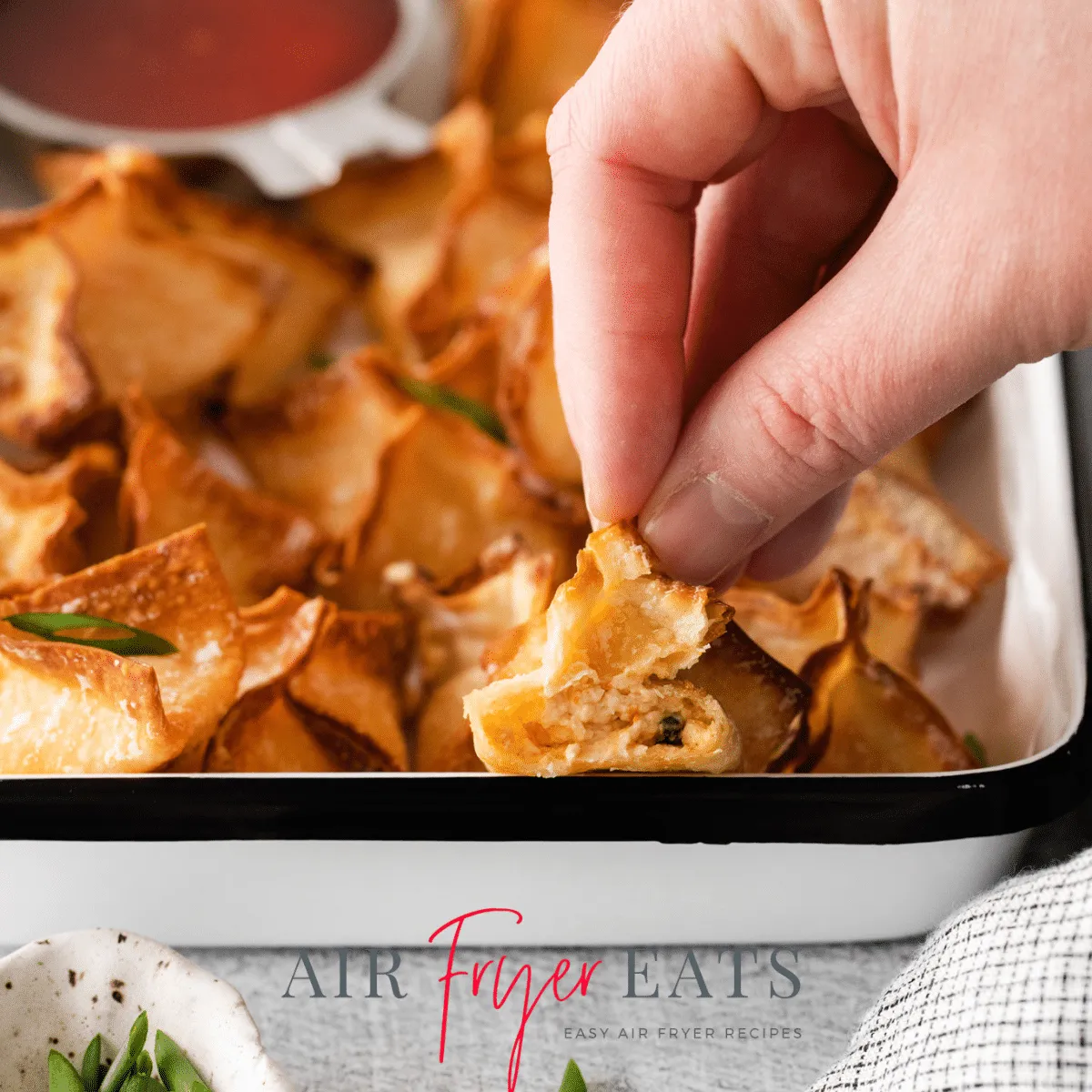 Air Fryer Wontons