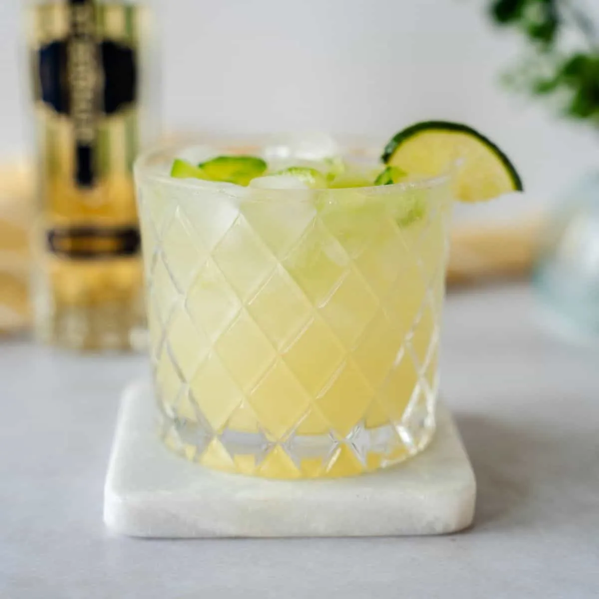 Ginger Blossom Margarita Recipe