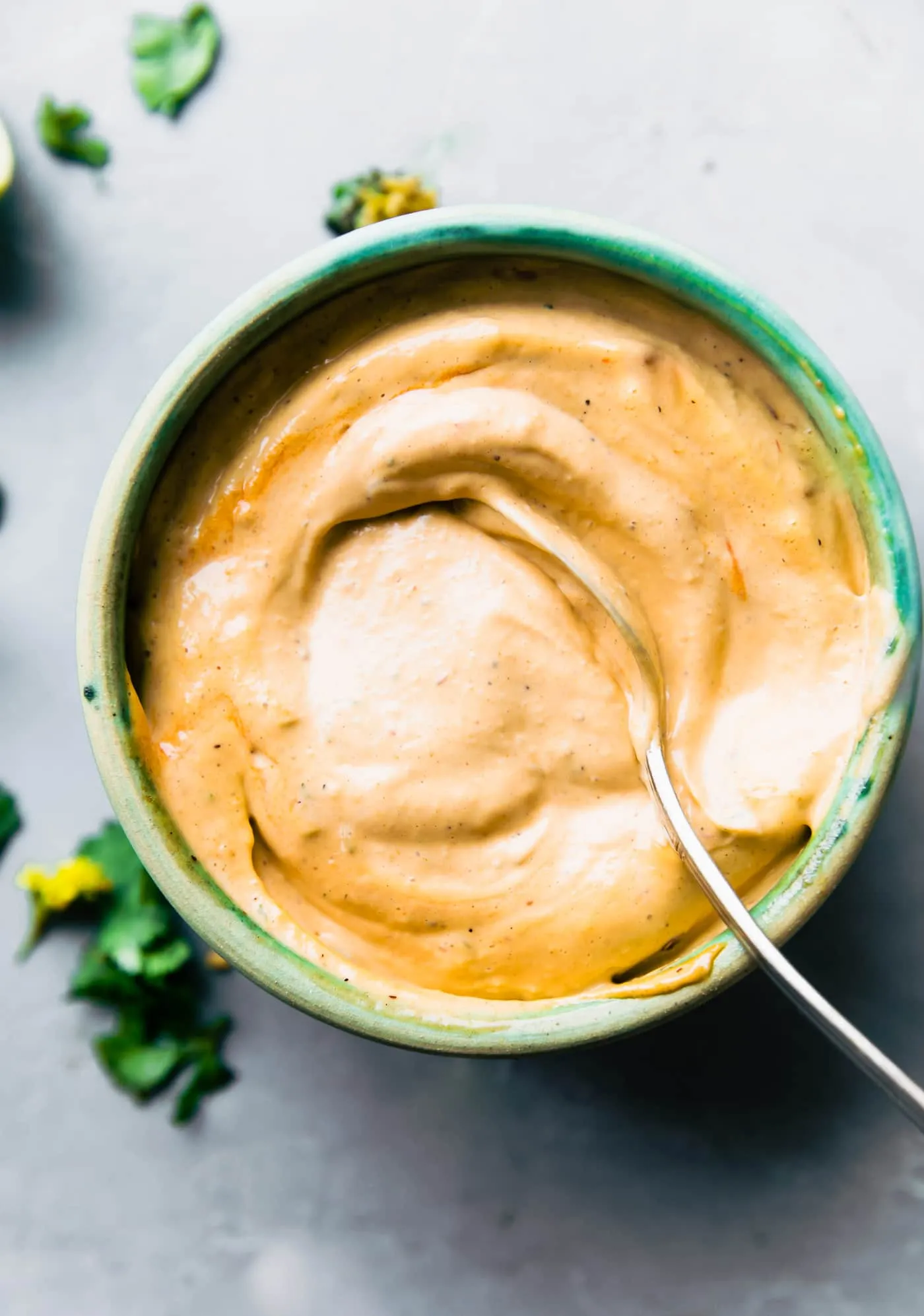 How to Make Homemade Chipotle Mayo {Paleo}