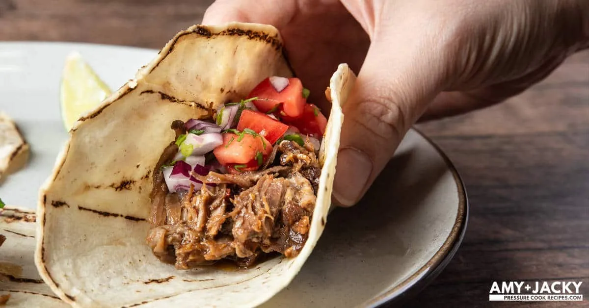 Instant Pot Barbacoa Beef