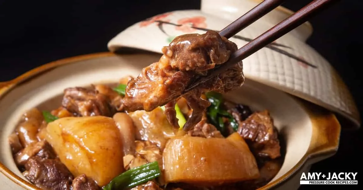 Instant Pot Chinese Beef Stew