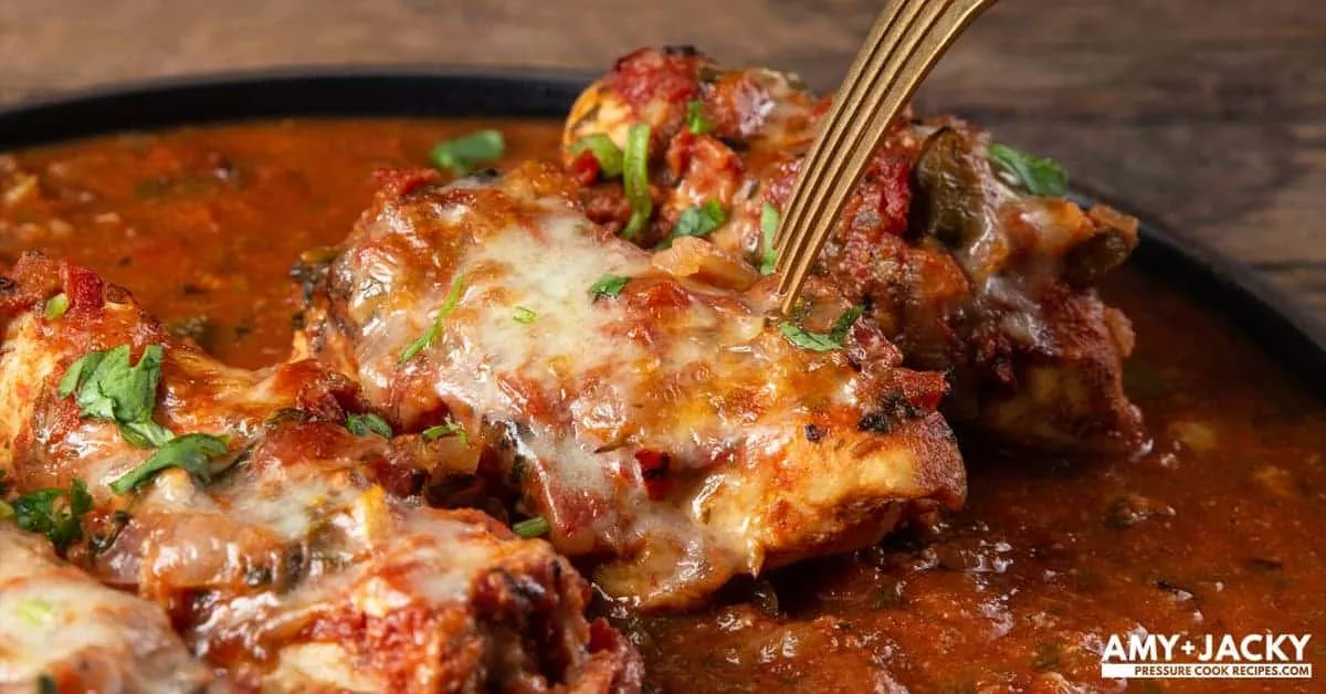 Instant Pot Salsa Chicken