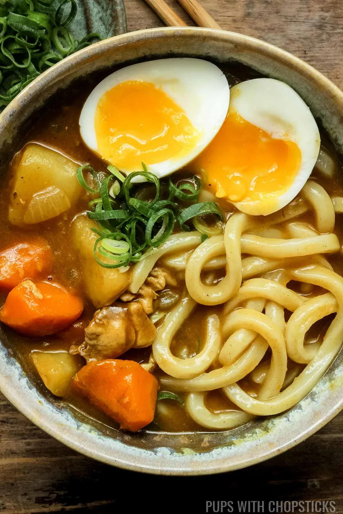 Japanese Curry Udon