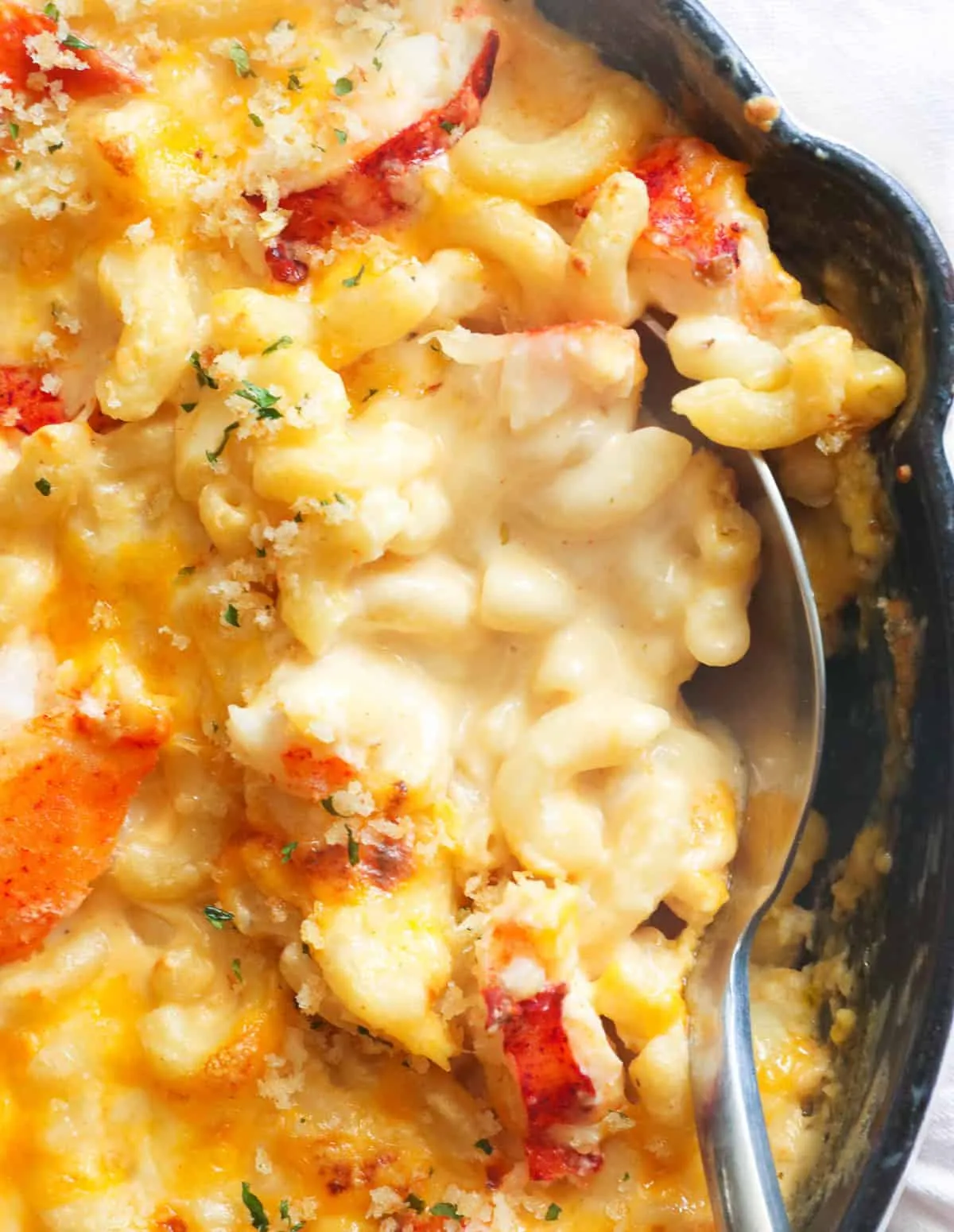 Lobster Mac and Cheese