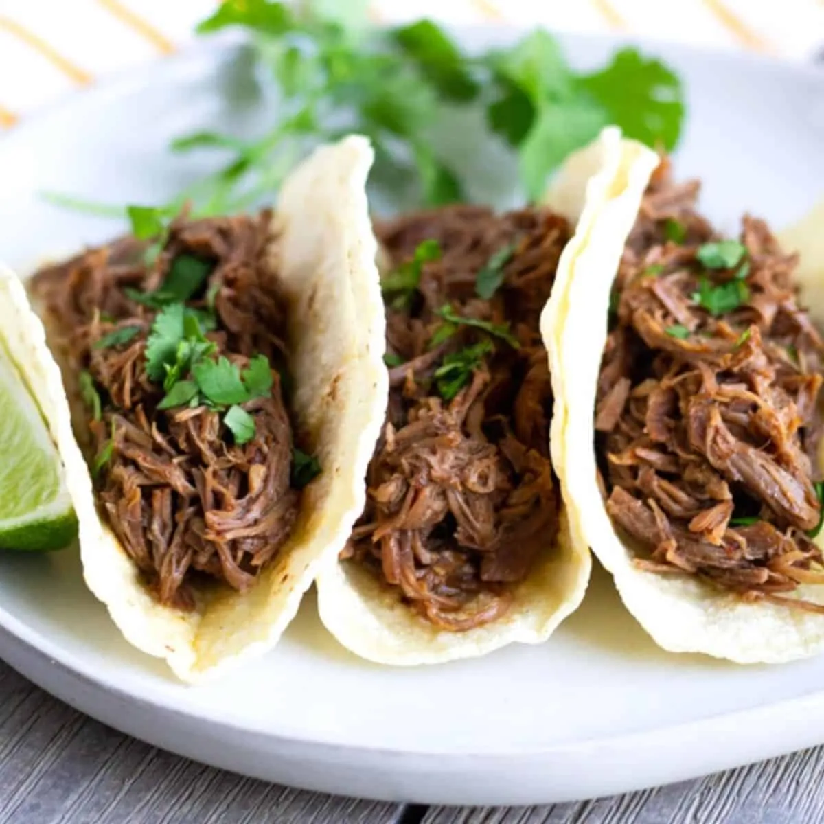 Mexican Shredded Beef