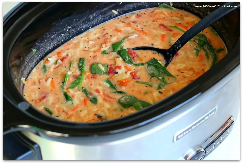 Slow Cooker Italian Orzo Soup