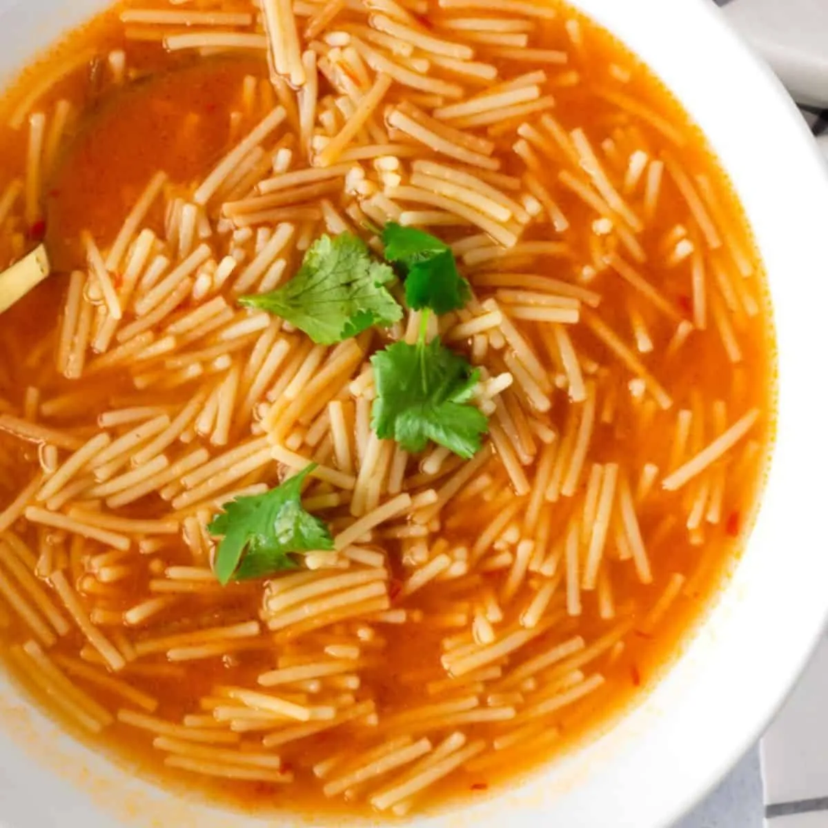 Sopa de Fideo Recipe