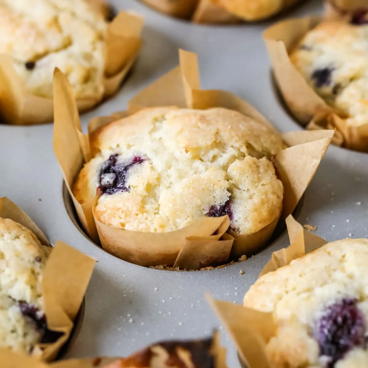 Sourdough blueberry muffins
