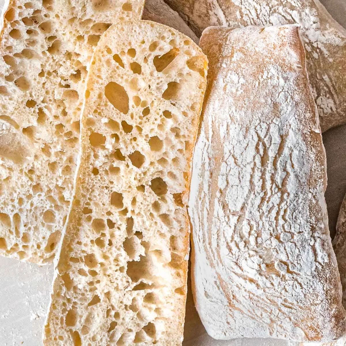 Sourdough Ciabatta