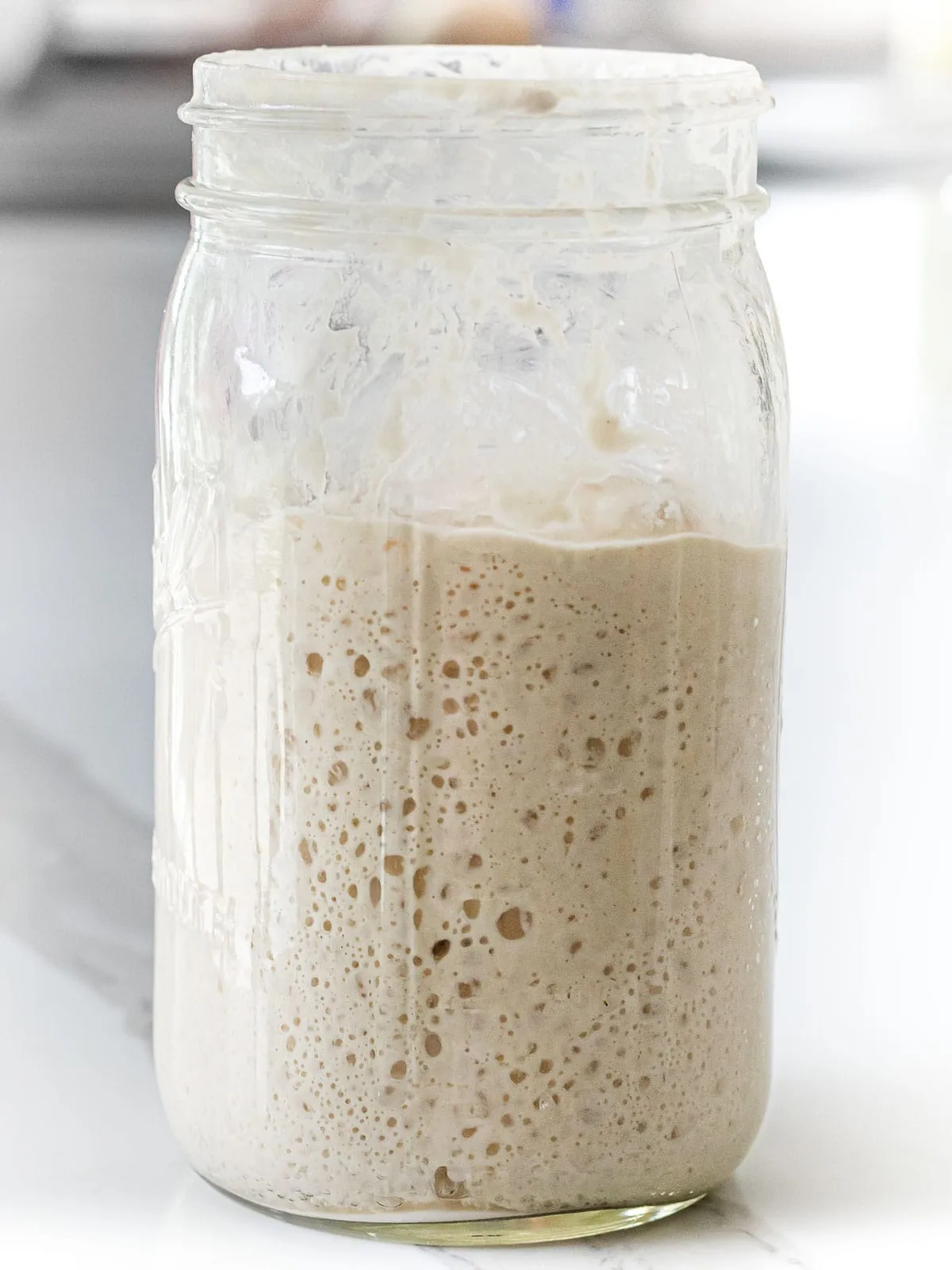 Sourdough Starter 2 Ways - Traditional and No-discard method