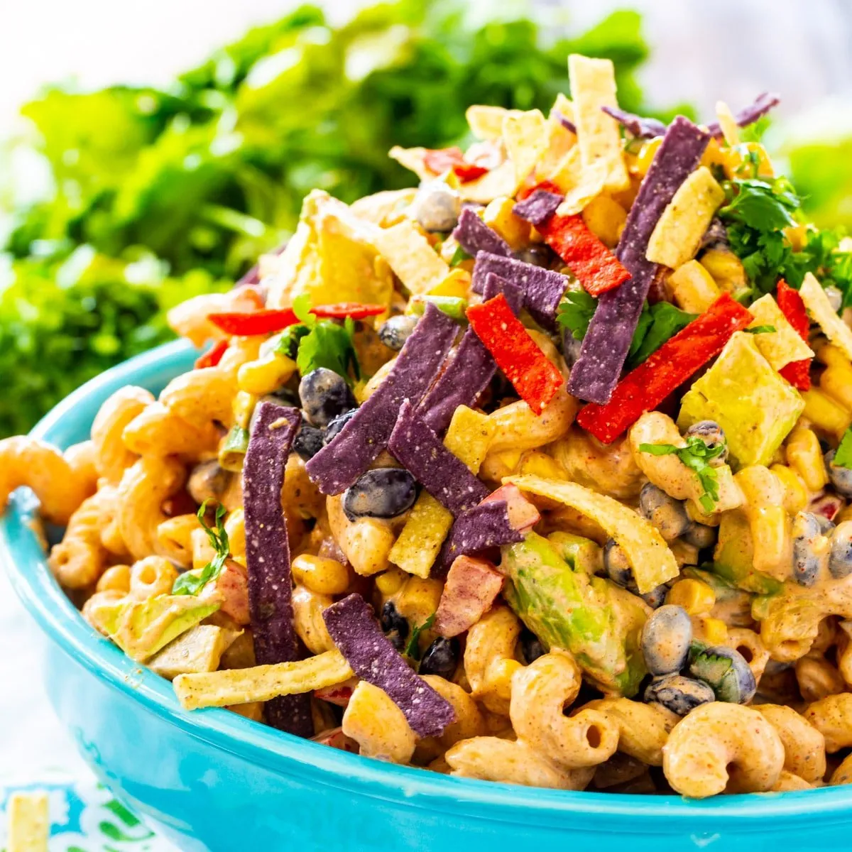 Tex-Mex Pasta Salad
