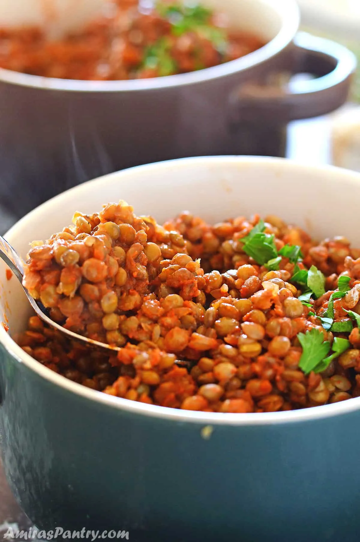 Vegan Lentil Stew