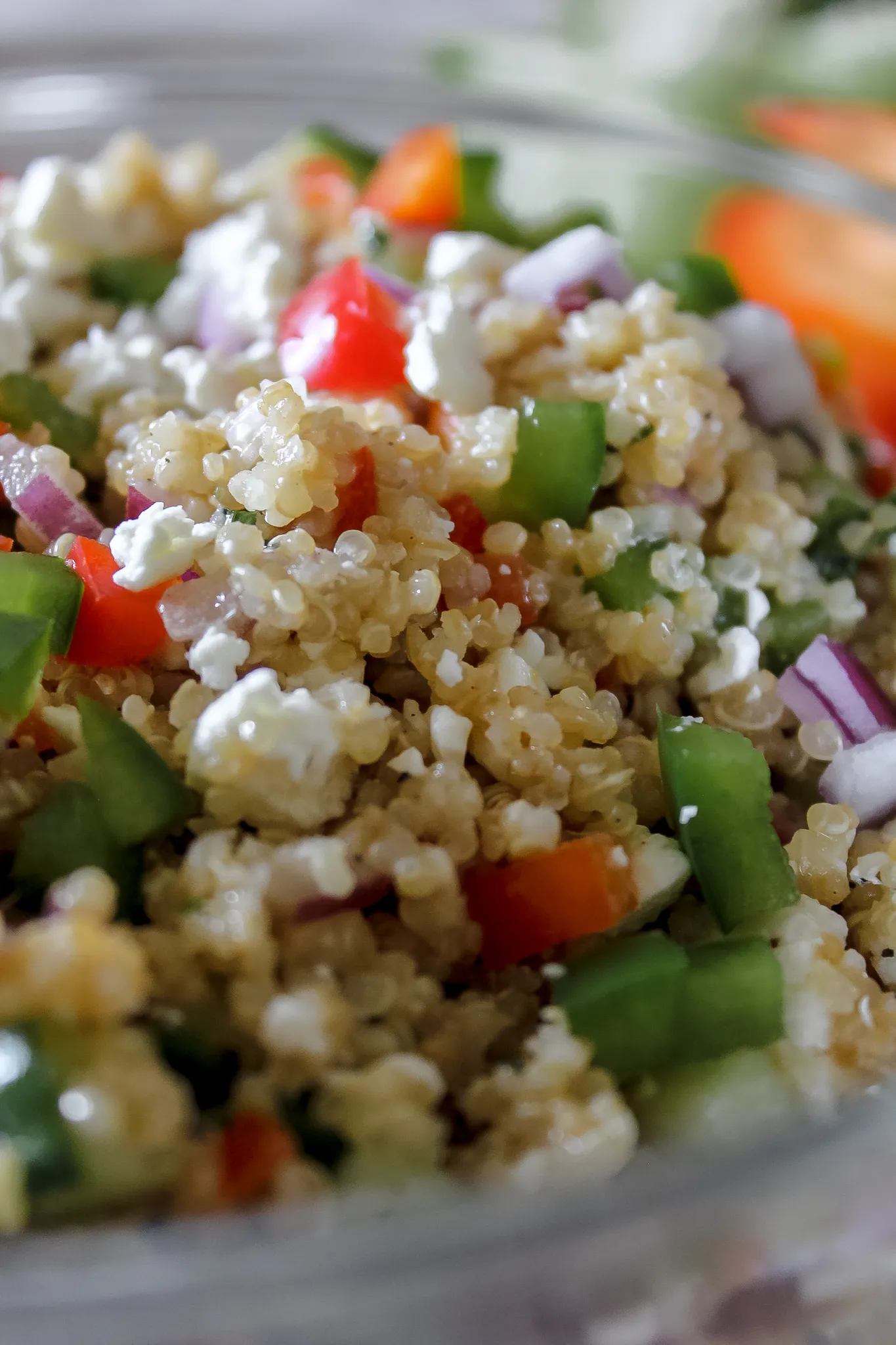Veggie Quinoa Salad w/ Herb & Olive Oil Dressing