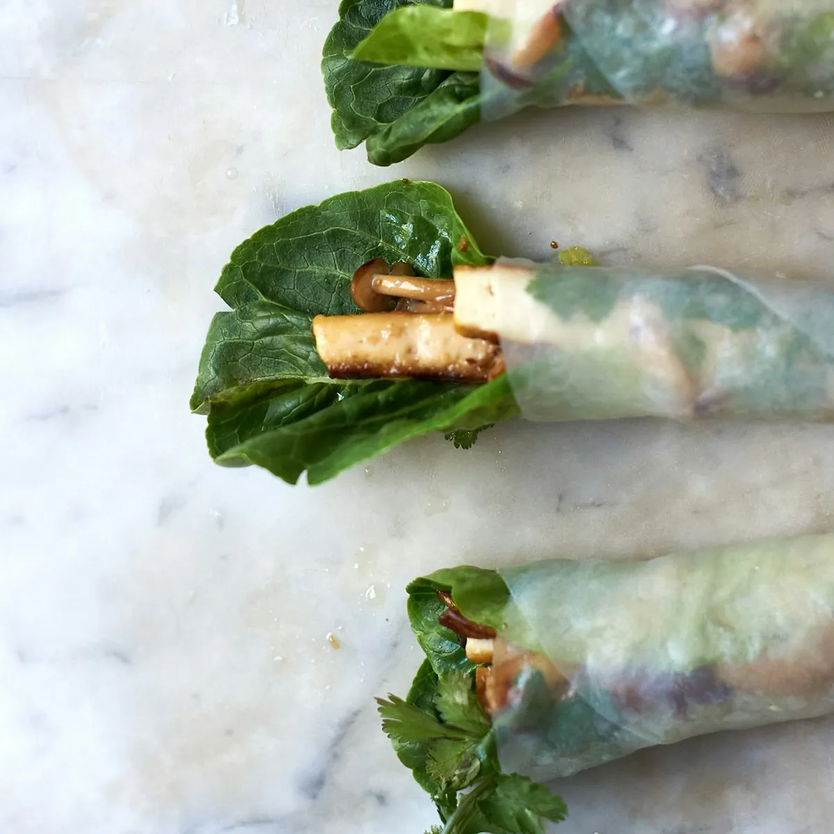 Wintery Spring Rolls
