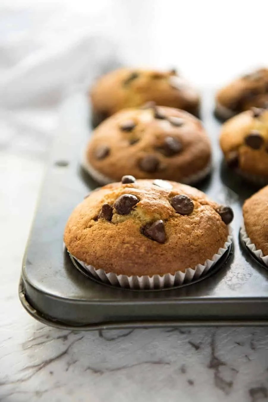 Chocolate Chip Muffin