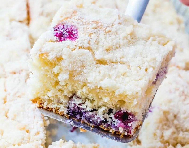 Biscuit Blueberry Cake