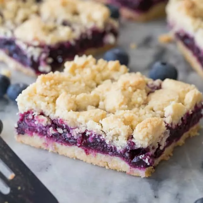 Blueberry Crumb Bars