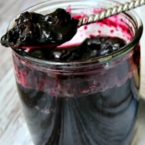 Blueberry Refrigerator Jam