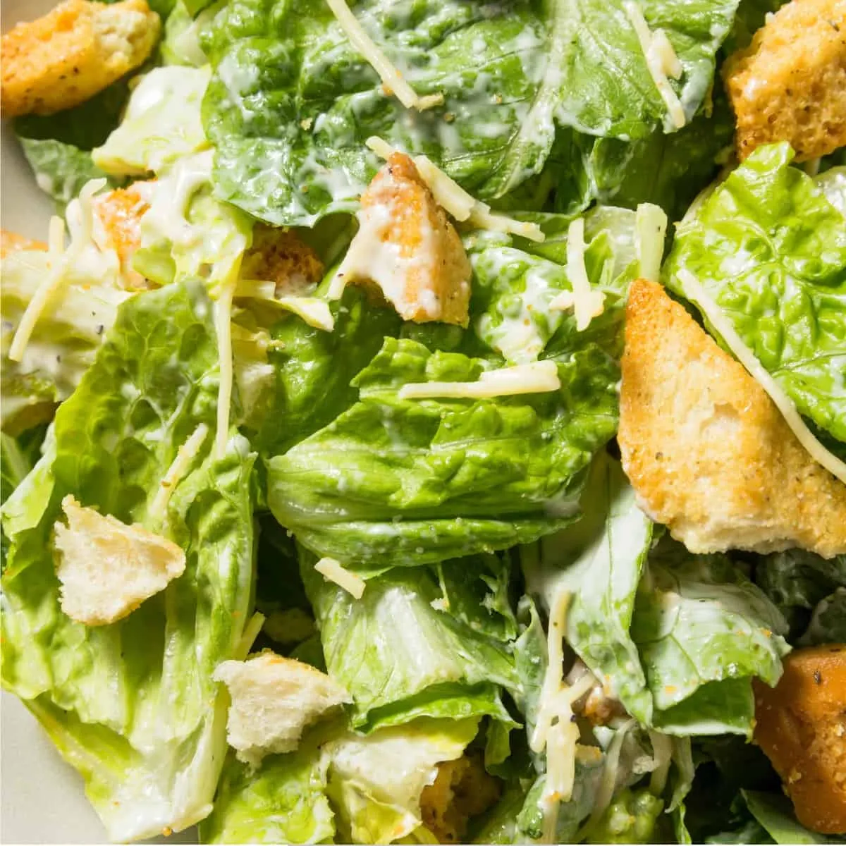 Caesar Salad Recipe | Salad With Homemade Caesar Dressing